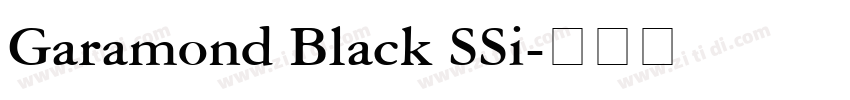 Garamond Black SSi字体转换
